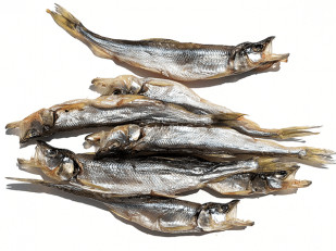 Вяленое мясо: Корюшка (мелкая) вяленая (Камчатка)